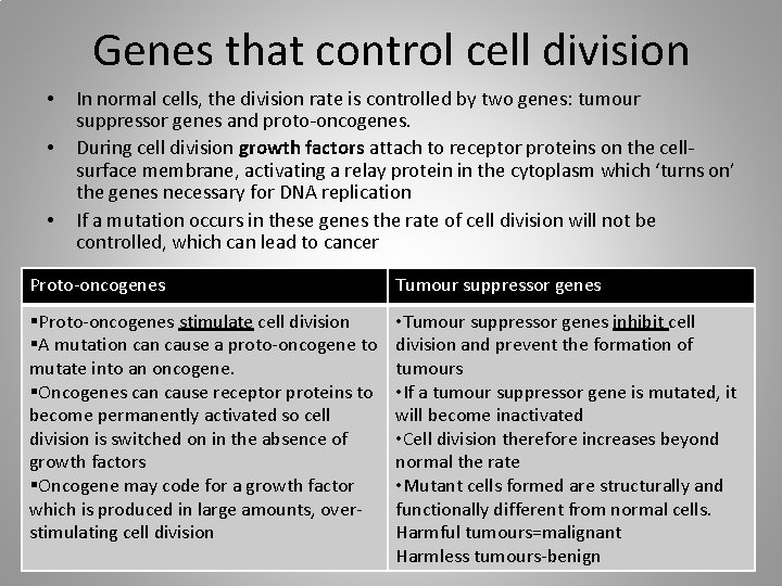 Genes that control cell division • • • In normal cells, the division rate