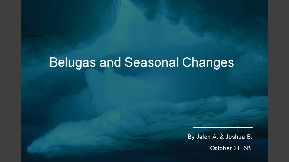 Belugas and Seasonal Changes By Jalen A. & Joshua B. October 21 5 B