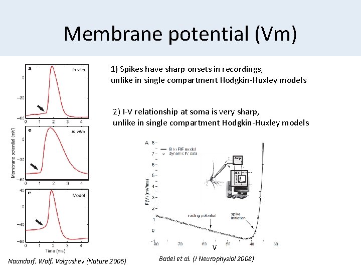 Membrane potential (Vm) 1) Spikes have sharp onsets in recordings, unlike in single compartment