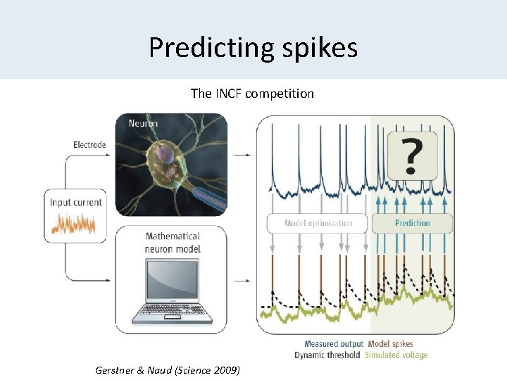 Predicting spikes The INCF competition Gerstner & Naud (Science 2009) 