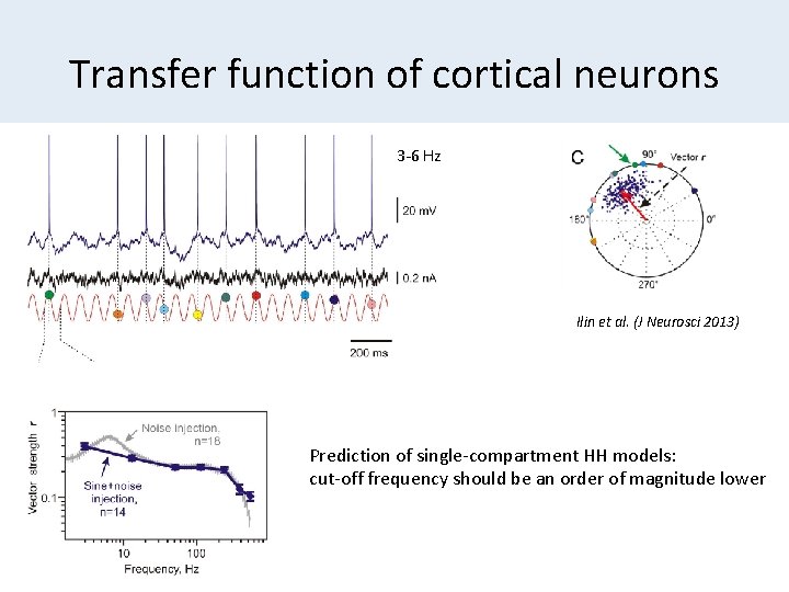 Transfer function of cortical neurons 3 -6 Hz Ilin et al. (J Neurosci 2013)