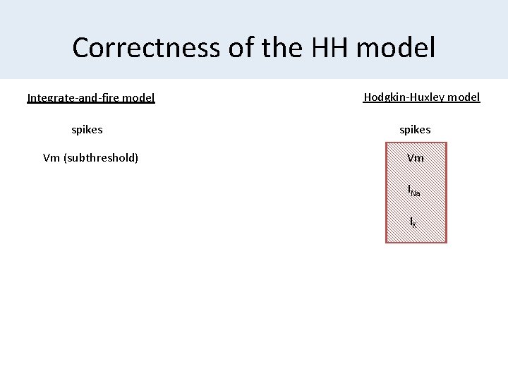 Correctness of the HH model Integrate-and-fire model spikes Vm (subthreshold) Hodgkin-Huxley model spikes Vm