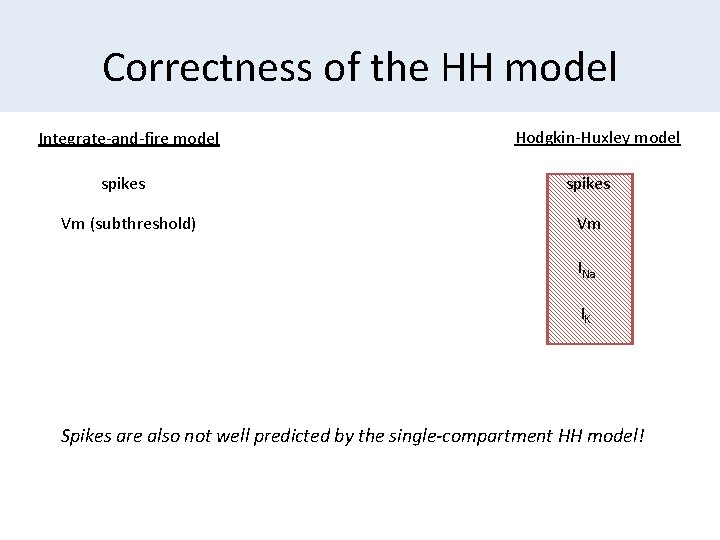 Correctness of the HH model Integrate-and-fire model spikes Vm (subthreshold) Hodgkin-Huxley model spikes Vm
