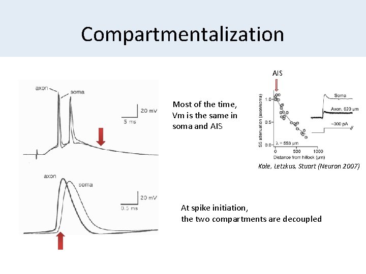 Compartmentalization AIS Most of the time, Vm is the same in soma and AIS