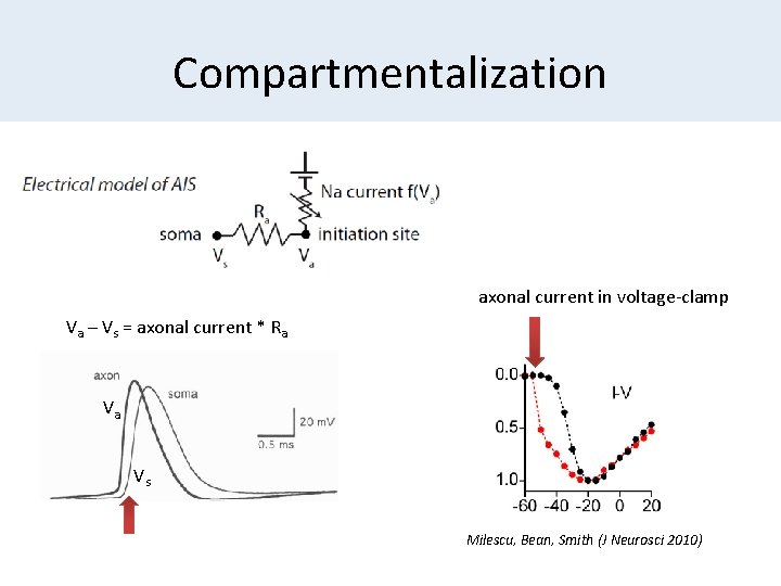 Compartmentalization axonal current in voltage-clamp Va – Vs = axonal current * Ra Va