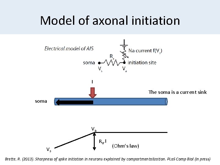 Model of axonal initiation I The soma is a current sink soma Va Ra.