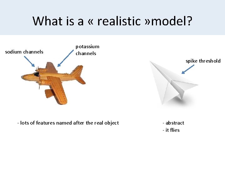 What is a « realistic » model? sodium channels potassium channels spike threshold -