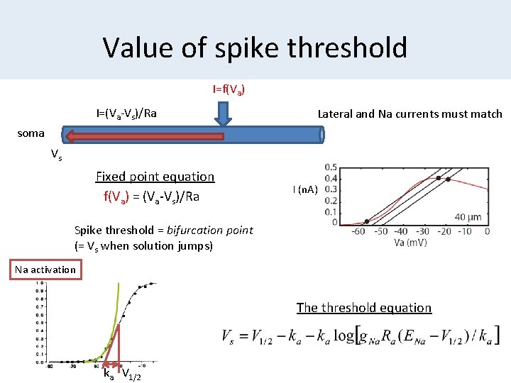 Value of spike threshold I=f(Va) I=(Va-Vs)/Ra Lateral and Na currents must match soma Vs