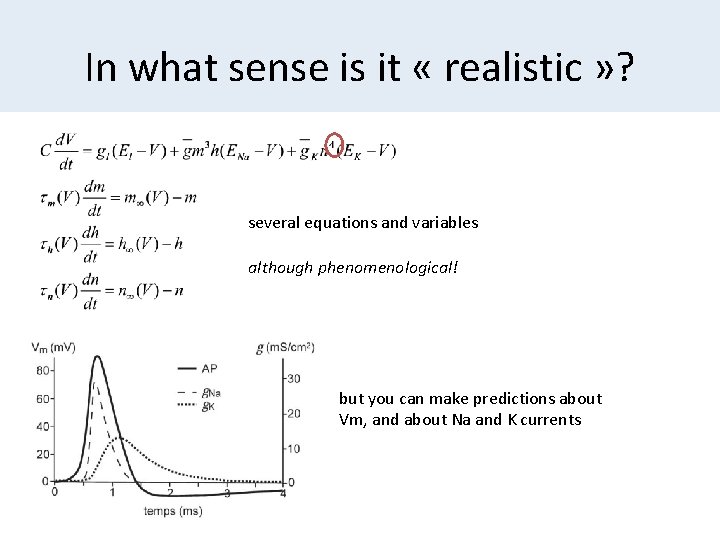 In what sense is it « realistic » ? several equations and variables although