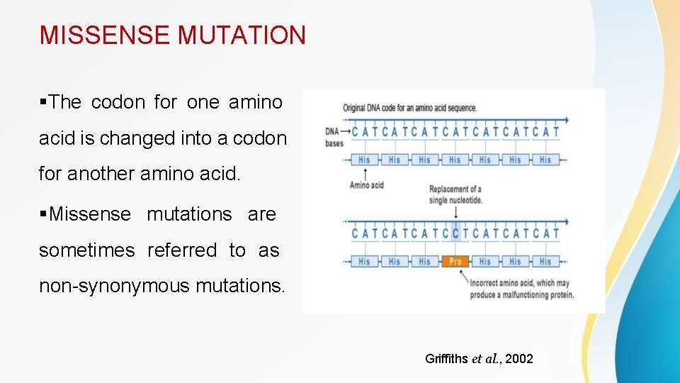 MISSENSE MUTATION The codon for one amino acid is changed into a codon for