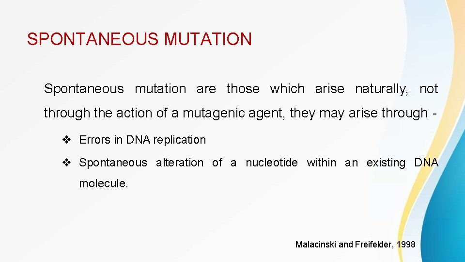 SPONTANEOUS MUTATION Spontaneous mutation are those which arise naturally, not through the action of