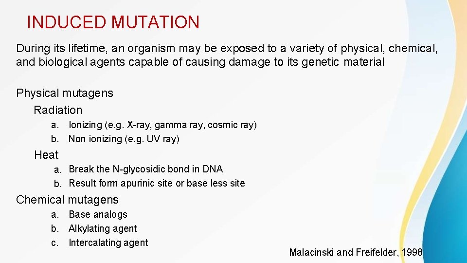 INDUCED MUTATION During its lifetime, an organism may be exposed to a variety of