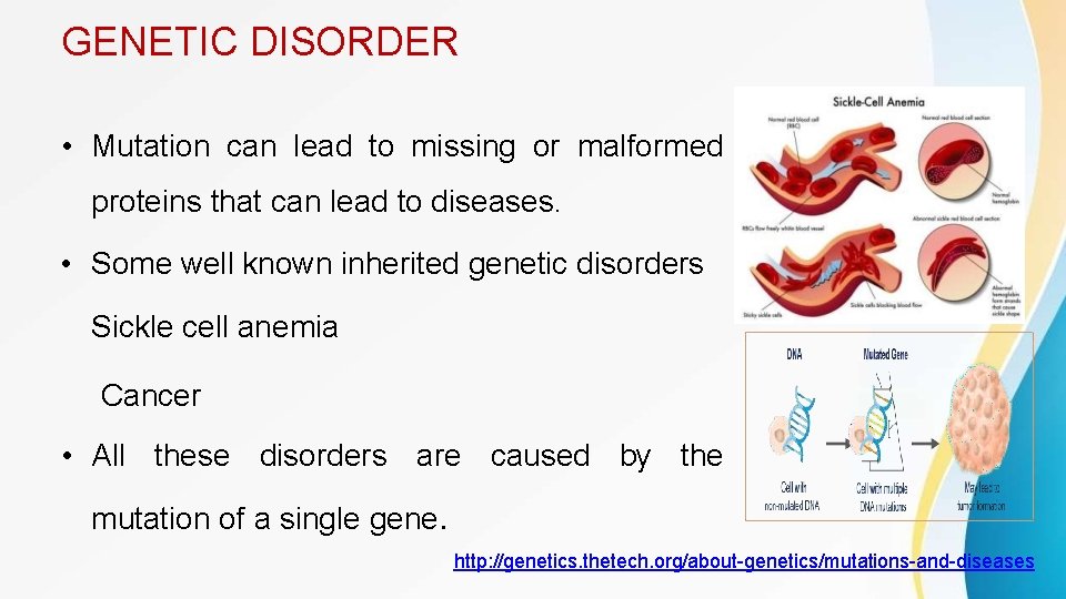 GENETIC DISORDER • Mutation can lead to missing or malformed proteins that can lead