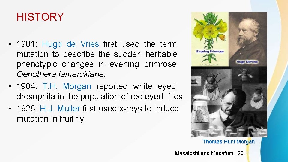 HISTORY • 1901: Hugo de Vries first used the term mutation to describe the