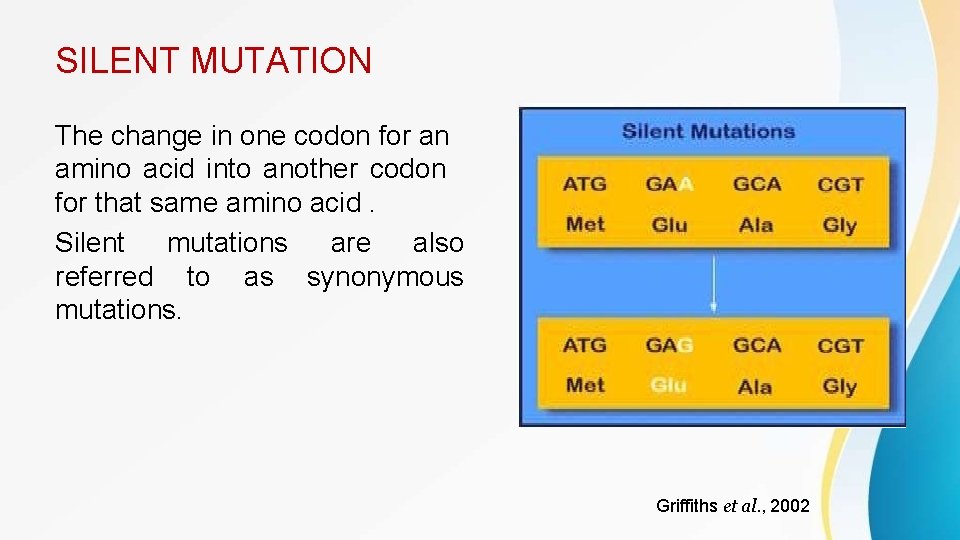 SILENT MUTATION The change in one codon for an amino acid into another codon