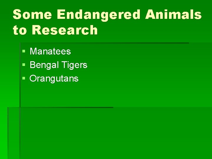 Some Endangered Animals to Research § § § Manatees Bengal Tigers Orangutans 