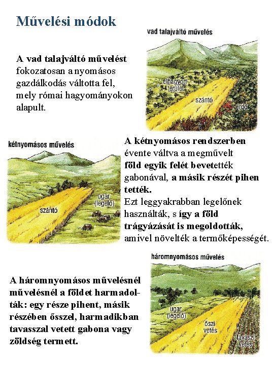 Művelési módok A vad talajváltó művelést fokozatosan a nyomásos gazdálkodás váltotta fel, mely római