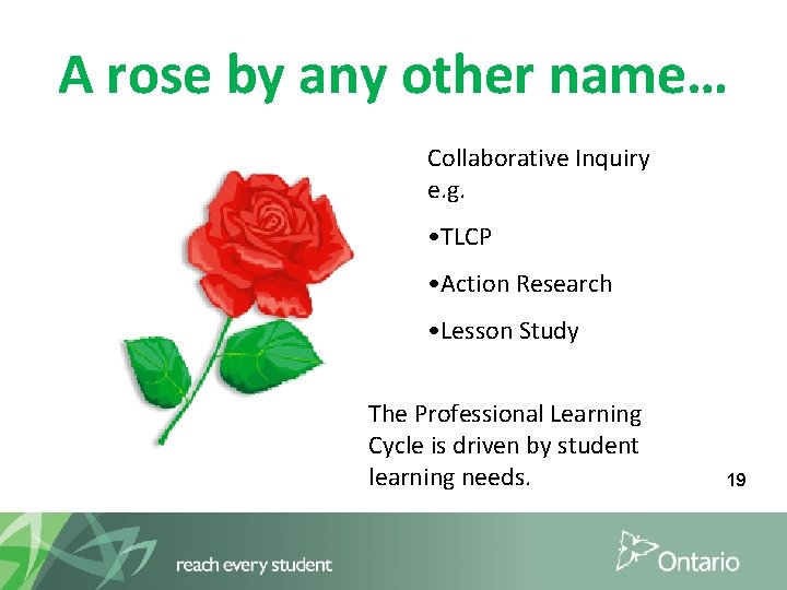 A rose by any other name… Collaborative Inquiry e. g. • TLCP • Action
