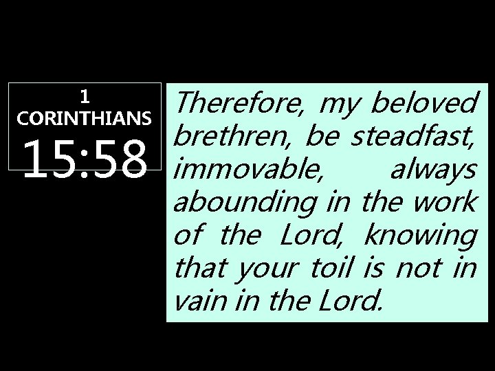 1 CORINTHIANS 15: 58 Therefore, my beloved brethren, be steadfast, immovable, always abounding in