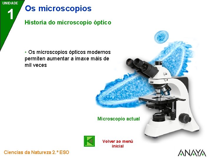 UNIDADE 1 Os microscopios Historia do microscopio óptico • Os microscopios ópticos modernos permiten