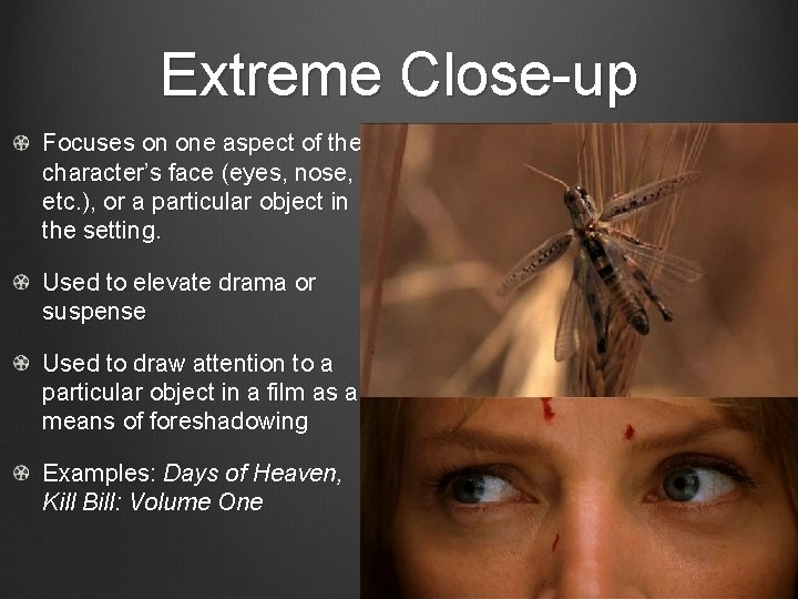 Extreme Close-up Focuses on one aspect of the character’s face (eyes, nose, etc. ),