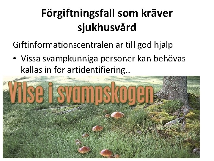 Förgiftningsfall som kräver sjukhusvård Giftinformationscentralen är till god hjälp • Vissa svampkunniga personer kan