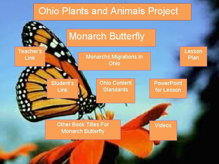 Ohio Plants and Animals Project Monarch Butterfly Teacher’s Link Lesson Plan Monarchs Migrations in