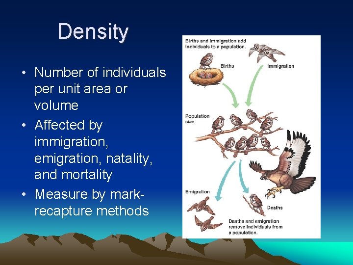 Density • Number of individuals per unit area or volume • Affected by immigration,