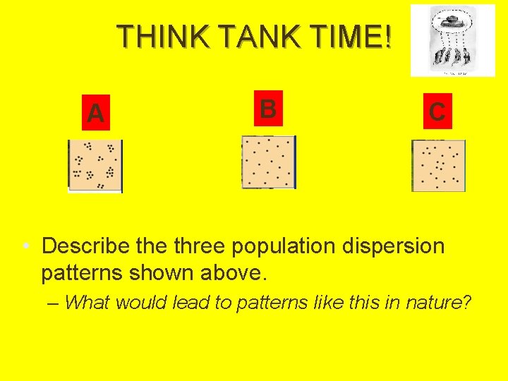 THINK TANK TIME! A B C • Describe three population dispersion patterns shown above.