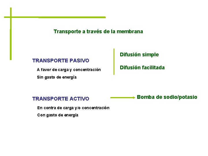 Transporte a través de la membrana Difusión simple TRANSPORTE PASIVO A favor de carga