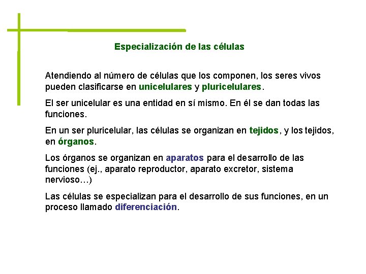 Especialización de las células Atendiendo al número de células que los componen, los seres