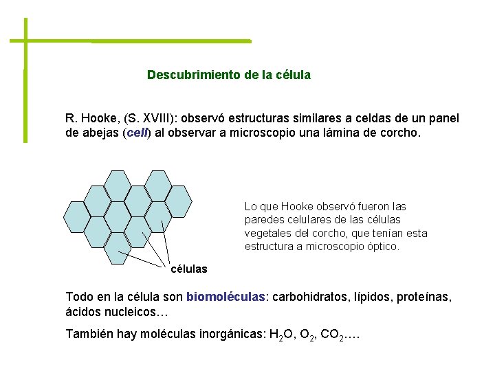 Descubrimiento de la célula R. Hooke, (S. XVIII): observó estructuras similares a celdas de