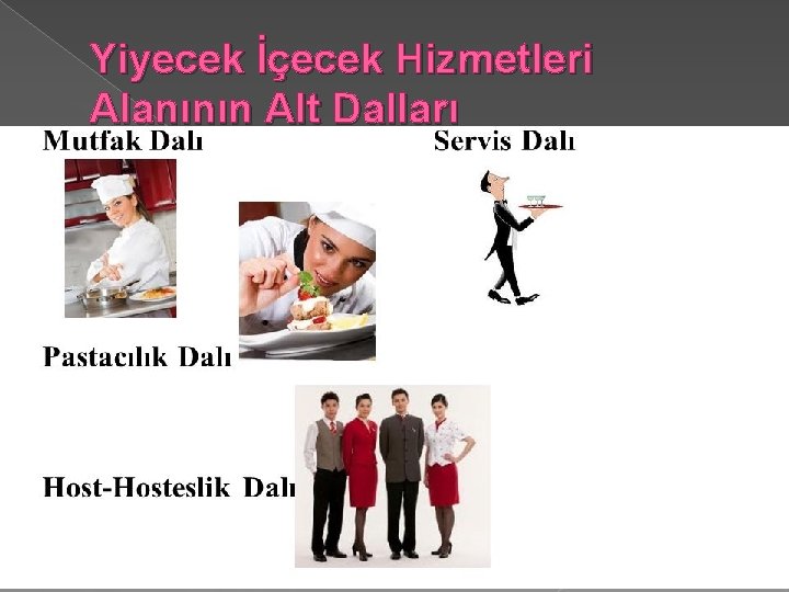 Yiyecek İçecek Hizmetleri Alanının Alt Dalları 