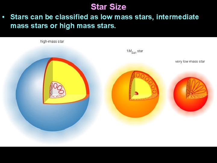 Star Size • Stars can be classified as low mass stars, intermediate mass stars