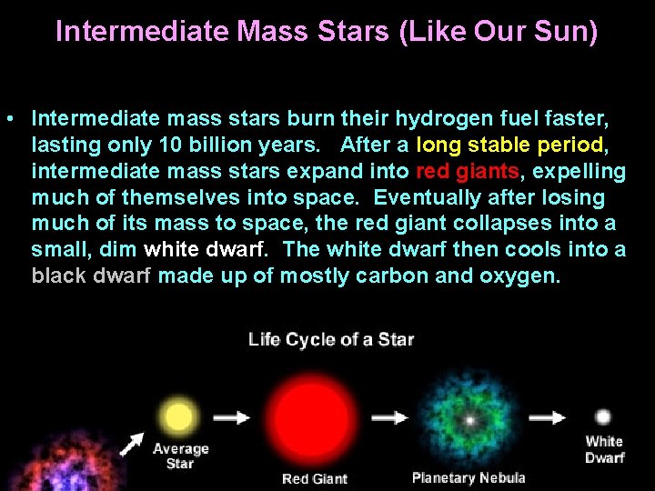 Intermediate Mass Stars (Like Our Sun) • Intermediate mass stars burn their hydrogen fuel