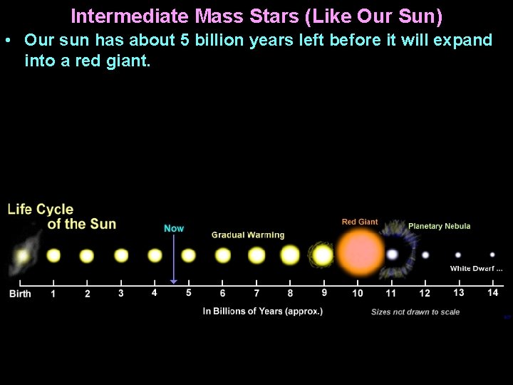 Intermediate Mass Stars (Like Our Sun) • Our sun has about 5 billion years