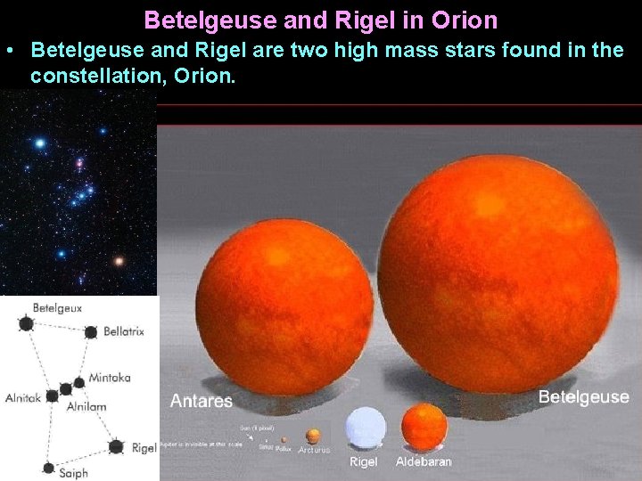 Betelgeuse and Rigel in Orion • Betelgeuse and Rigel are two high mass stars