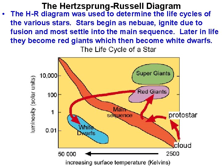 The Hertzsprung-Russell Diagram • The H-R diagram was used to determine the life cycles