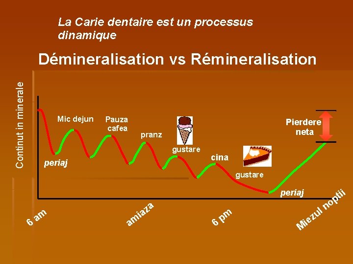 La Carie dentaire est un processus dinamique Continut in minerale Démineralisation vs Rémineralisation Mic