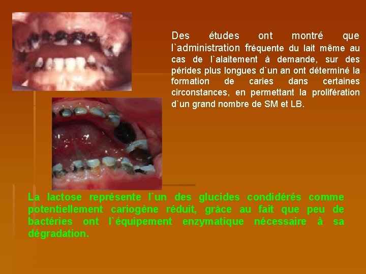 Des études ont montré que l`administration fréquente du lait même au cas de l`alaitement