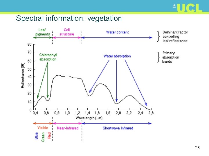 Spectral information: vegetation 28 