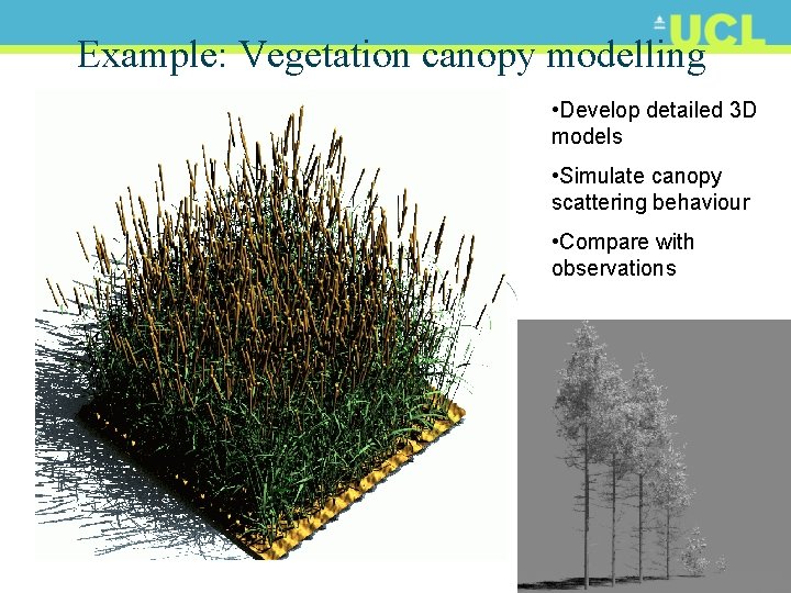 Example: Vegetation canopy modelling • Develop detailed 3 D models • Simulate canopy scattering