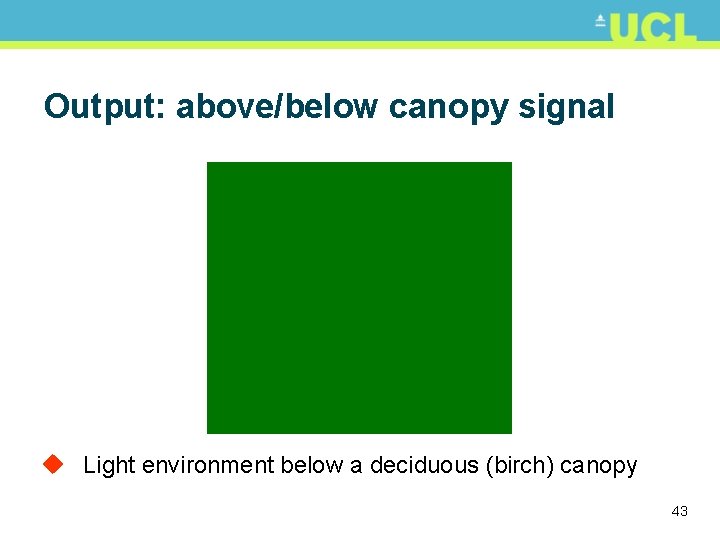 Output: above/below canopy signal u Light environment below a deciduous (birch) canopy 43 