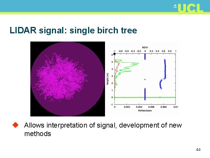 LIDAR signal: single birch tree u Allows interpretation of signal, development of new methods