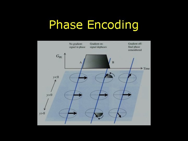 Phase Encoding Phase Encoding