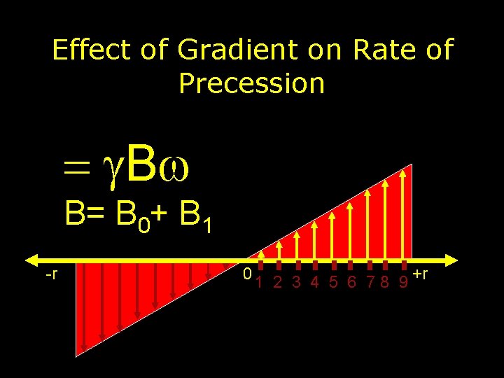 Effect of Gradient on Rate of Precession = g. Bw B= B 0+ B Effect of Gradient on Rate of Precession = g. Bw B= B 0+ B