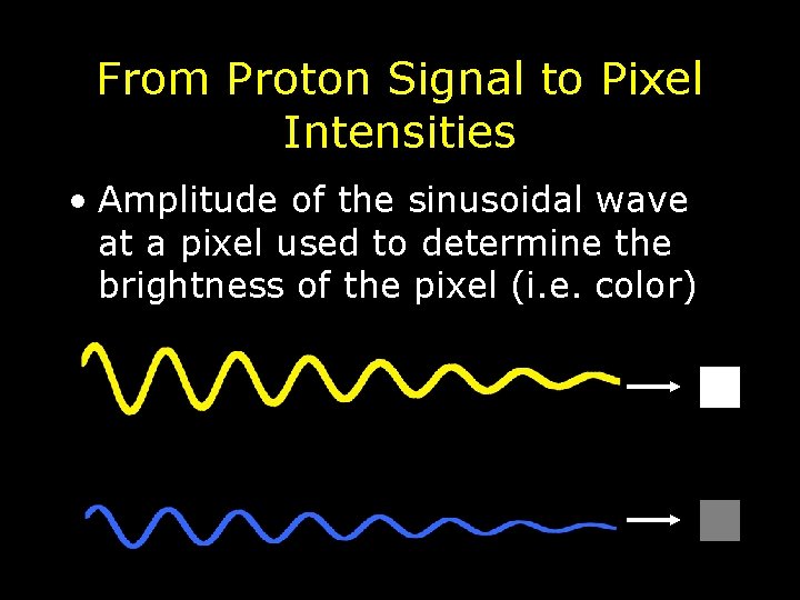 From Proton Signal to Pixel Intensities • Amplitude of the sinusoidal wave at a From Proton Signal to Pixel Intensities • Amplitude of the sinusoidal wave at a