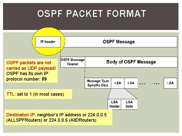 OSPF PACKET FORMAT OSPF packets are not carried as UDP payload! OSPF has its