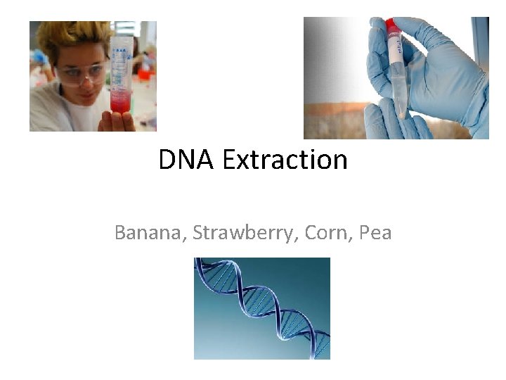 DNA Extraction Banana, Strawberry, Corn, Pea 