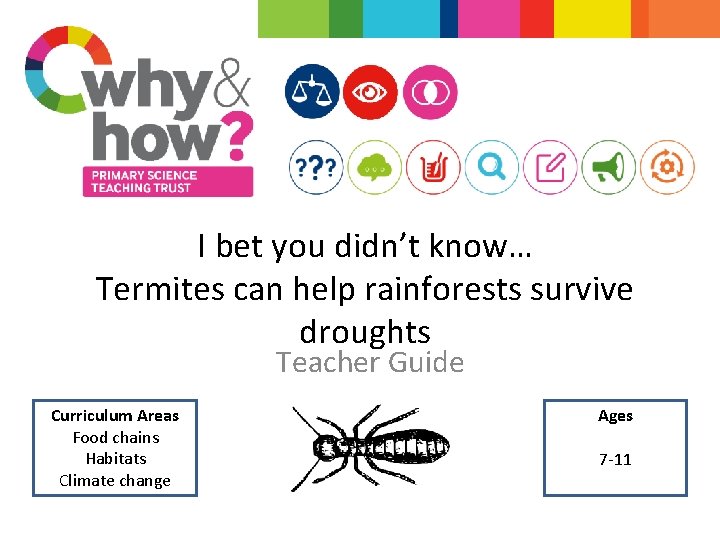 I bet you didn’t know… Termites can help rainforests survive droughts Teacher Guide Curriculum